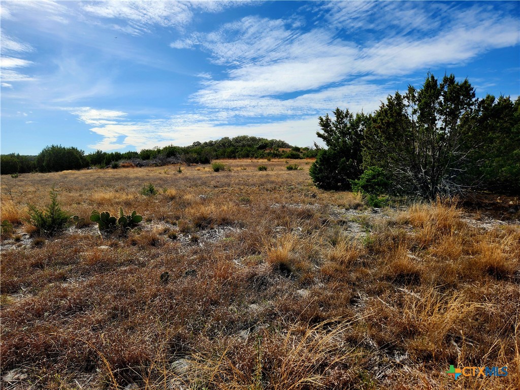 TBD Shin Oak Drive, Lampasas, TX 76550 — photo 1