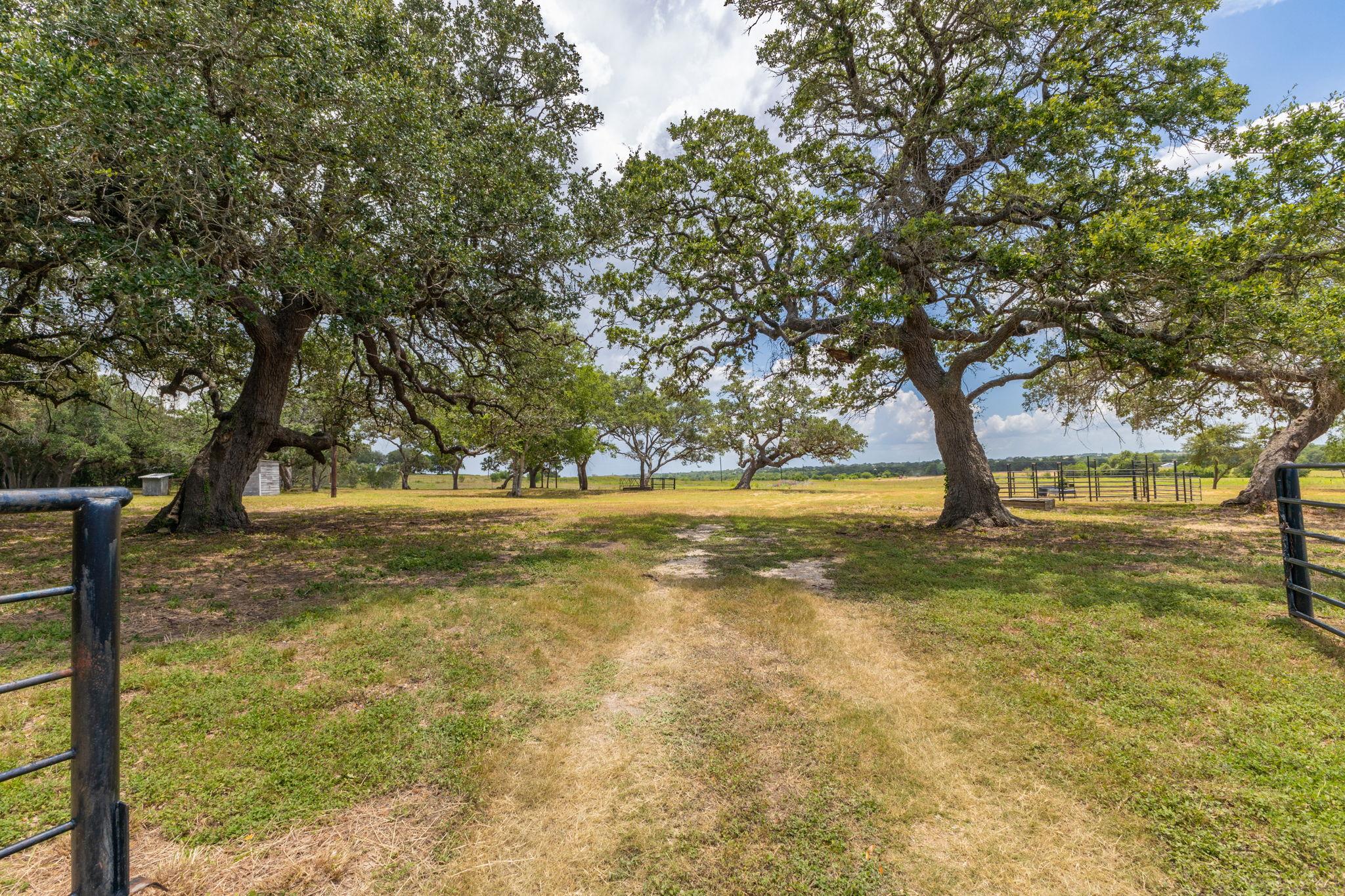 2160 (Tract #5) Baca, Flatonia, TX 78941 — photo 1