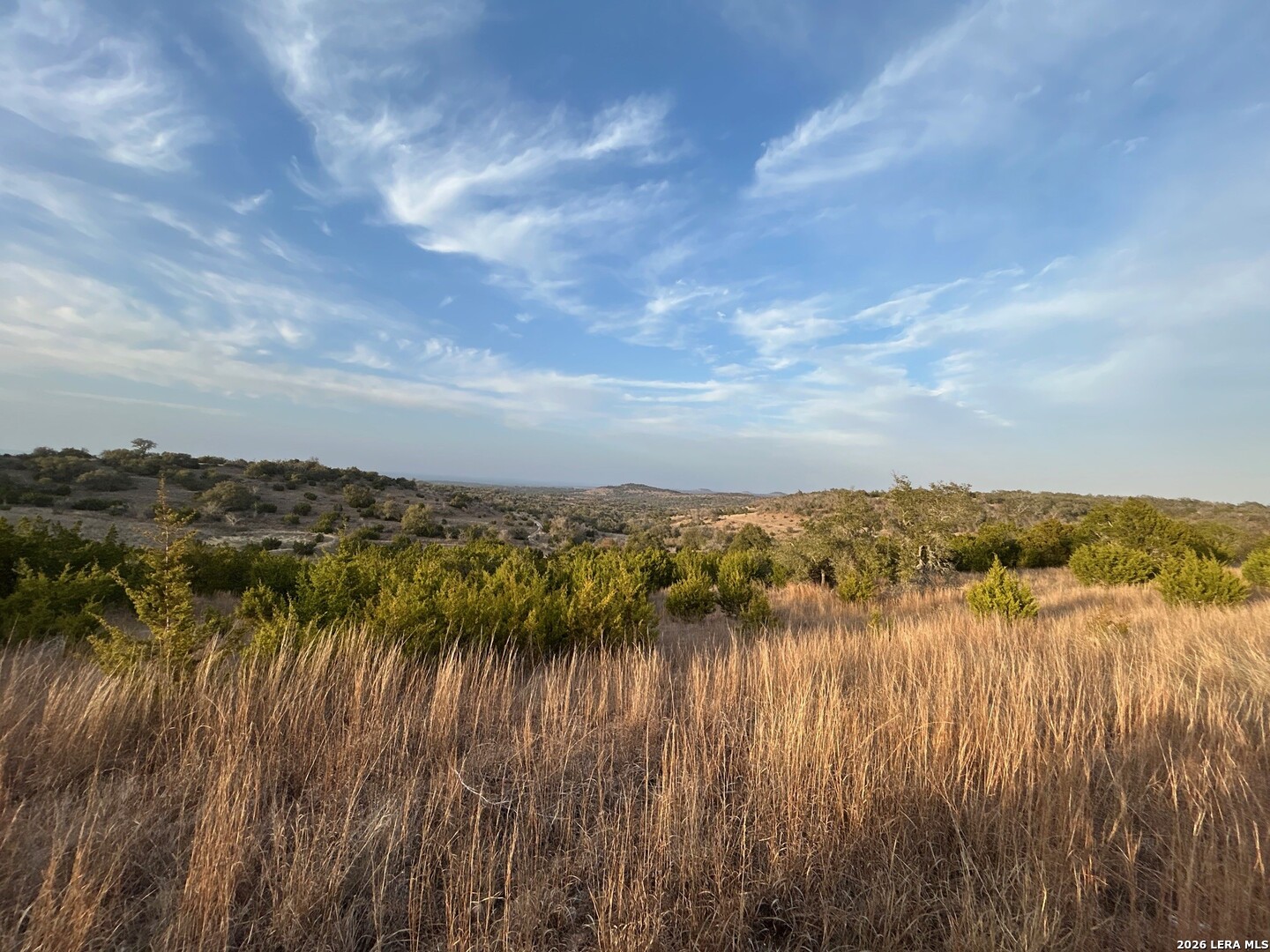 2089 SANCTUARY LN, Blanco, TX 78606 — photo 1