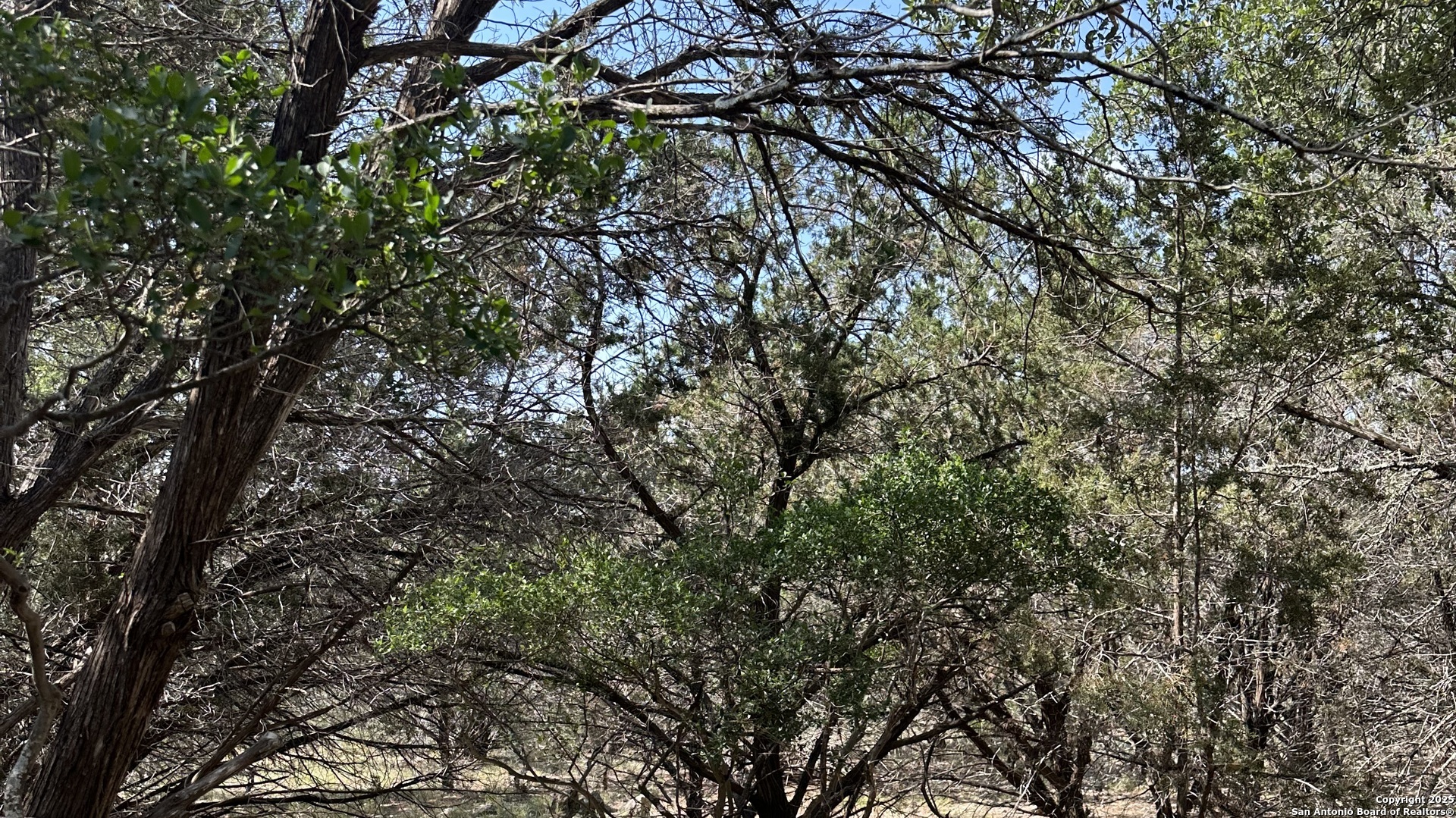 121 Agarita, ,  78070 — photo 1
