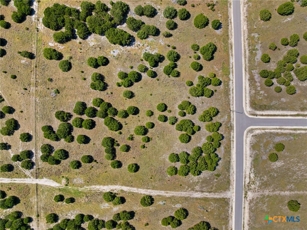 0000 Heartleaf, Lampasas, TX 76550 — photo 1