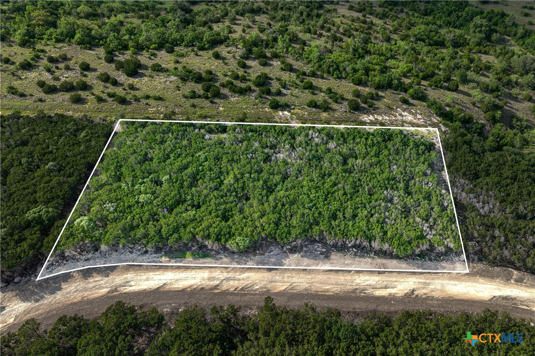 TBD Tract 19 Hank Williams Way, Burnet, TX 78605 — photo 1