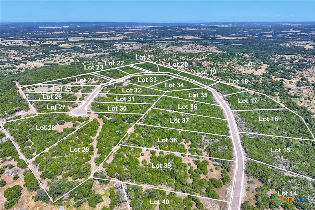 TBD Tract 5 Hank Williams, Burnet, TX 78605 — photo 1