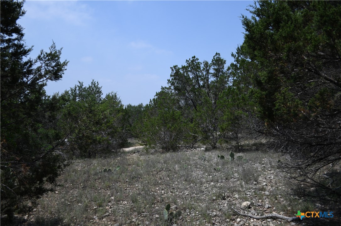 135 Agarita Drive, Spring Branch, TX 78070 — photo 1
