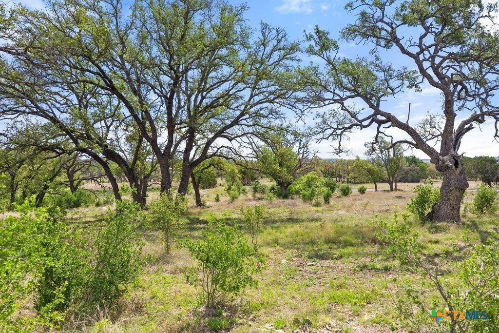 4772-11 County Road 340, Burnet, TX 78611 — photo 1