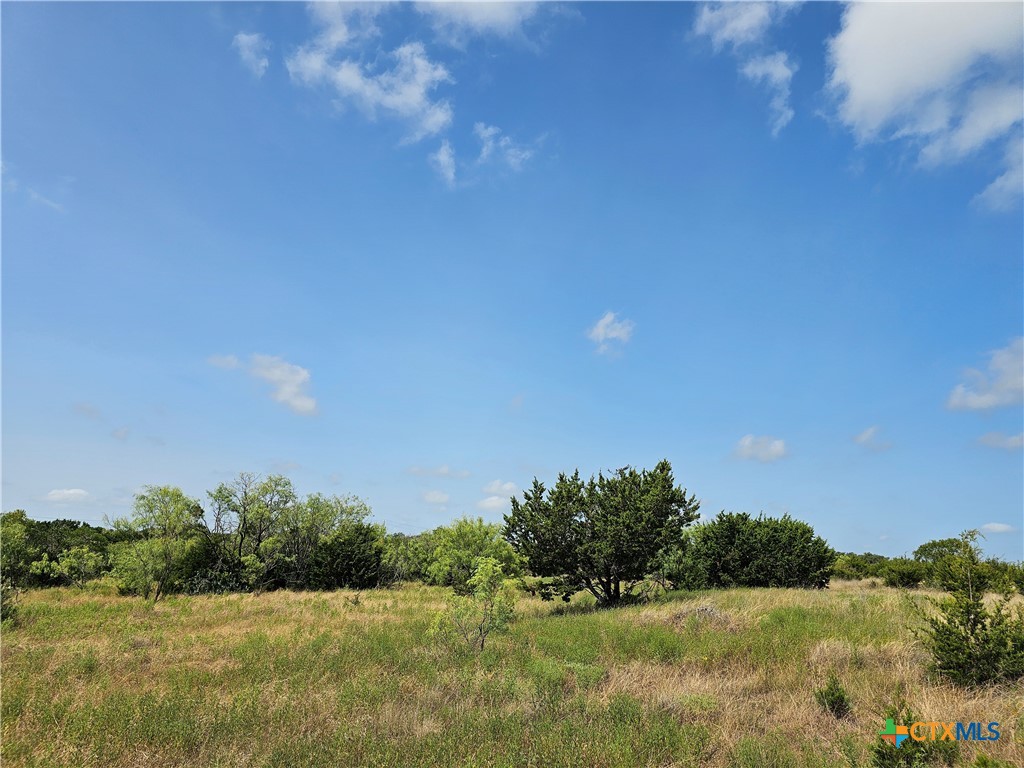 Lot 111 Shin Oak Drive, Lampasas, TX 76550 — photo 1