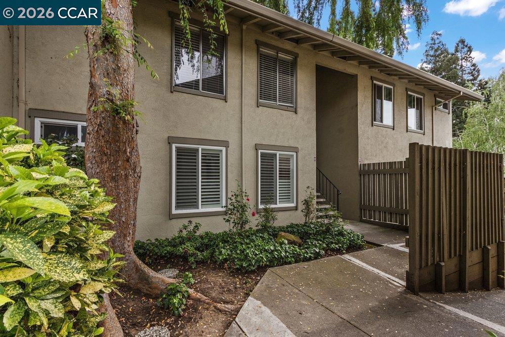1241 Homestead Ave 206, Walnut Creek, CA 94598 — photo 1