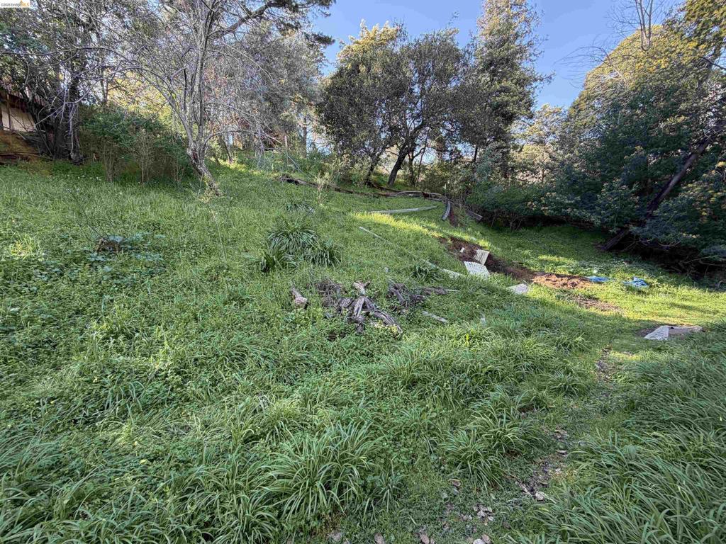 59 , 60 Clayton St., San Rafael, CA 94901 — photo 1