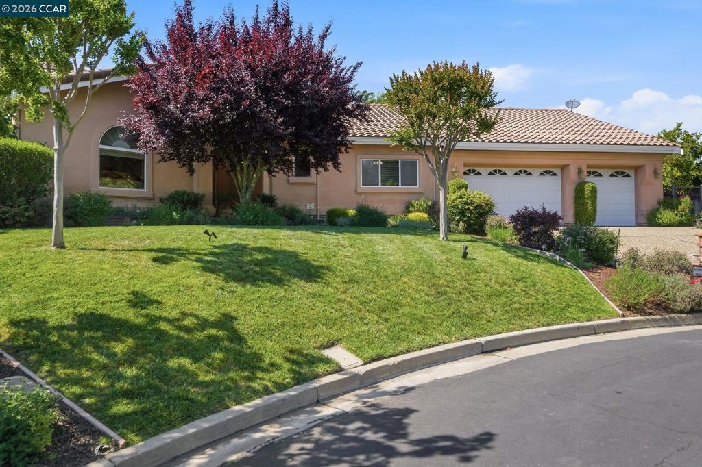 2426 Heritage Oaks Dr, Alamo, CA 94507 — photo 1