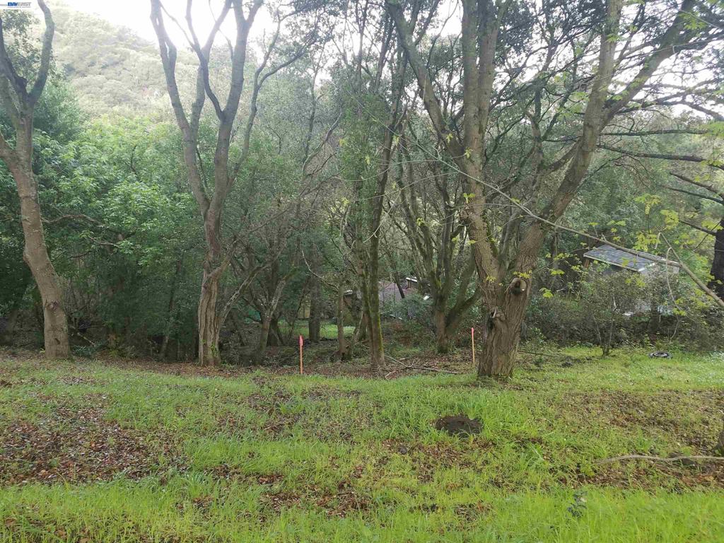 12 Vista Del Orinda, Orinda, CA 94563 — photo 1