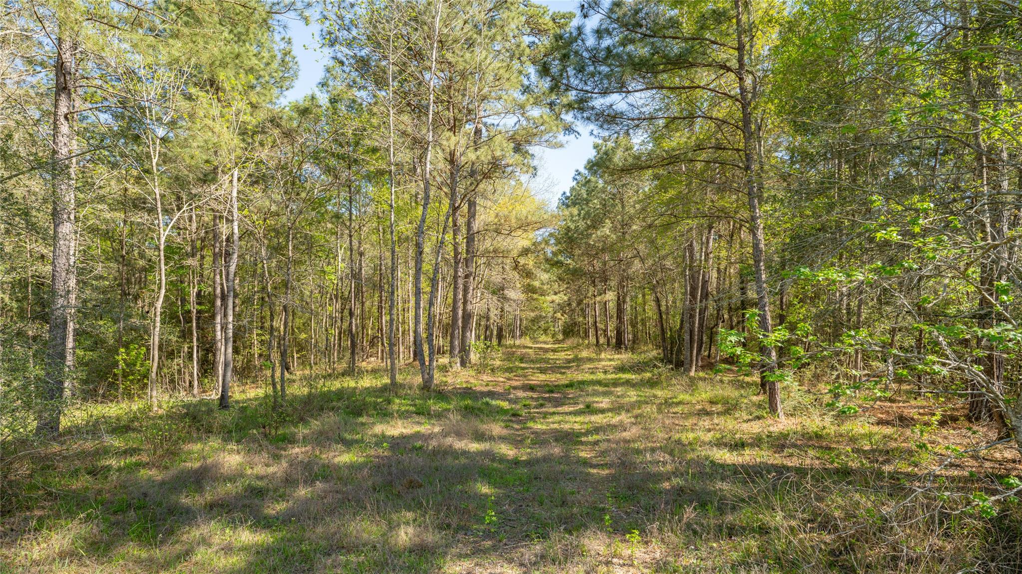 000  Bighorn Rd, Huntsville, TX 77340 — photo 1