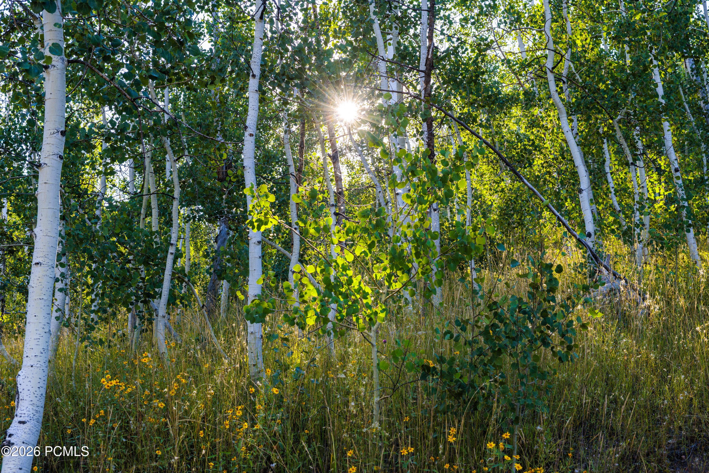 2070 Uintah View Drive Pi-G-50, Coalville, UT 84017 — photo 1
