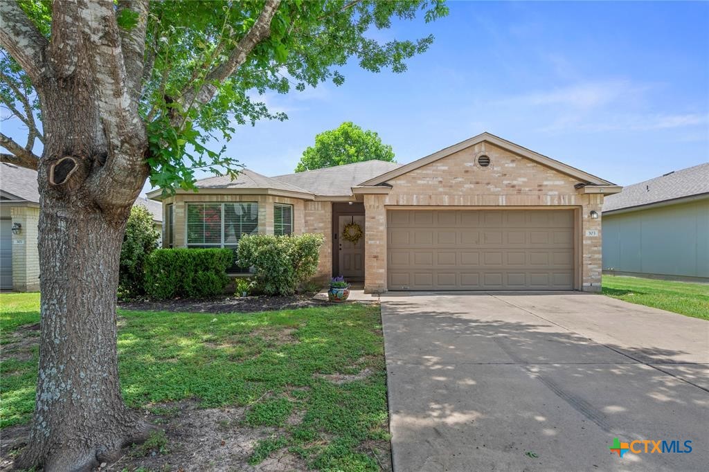 303 Liberty Street, Hutto, TX 78634 — photo 1