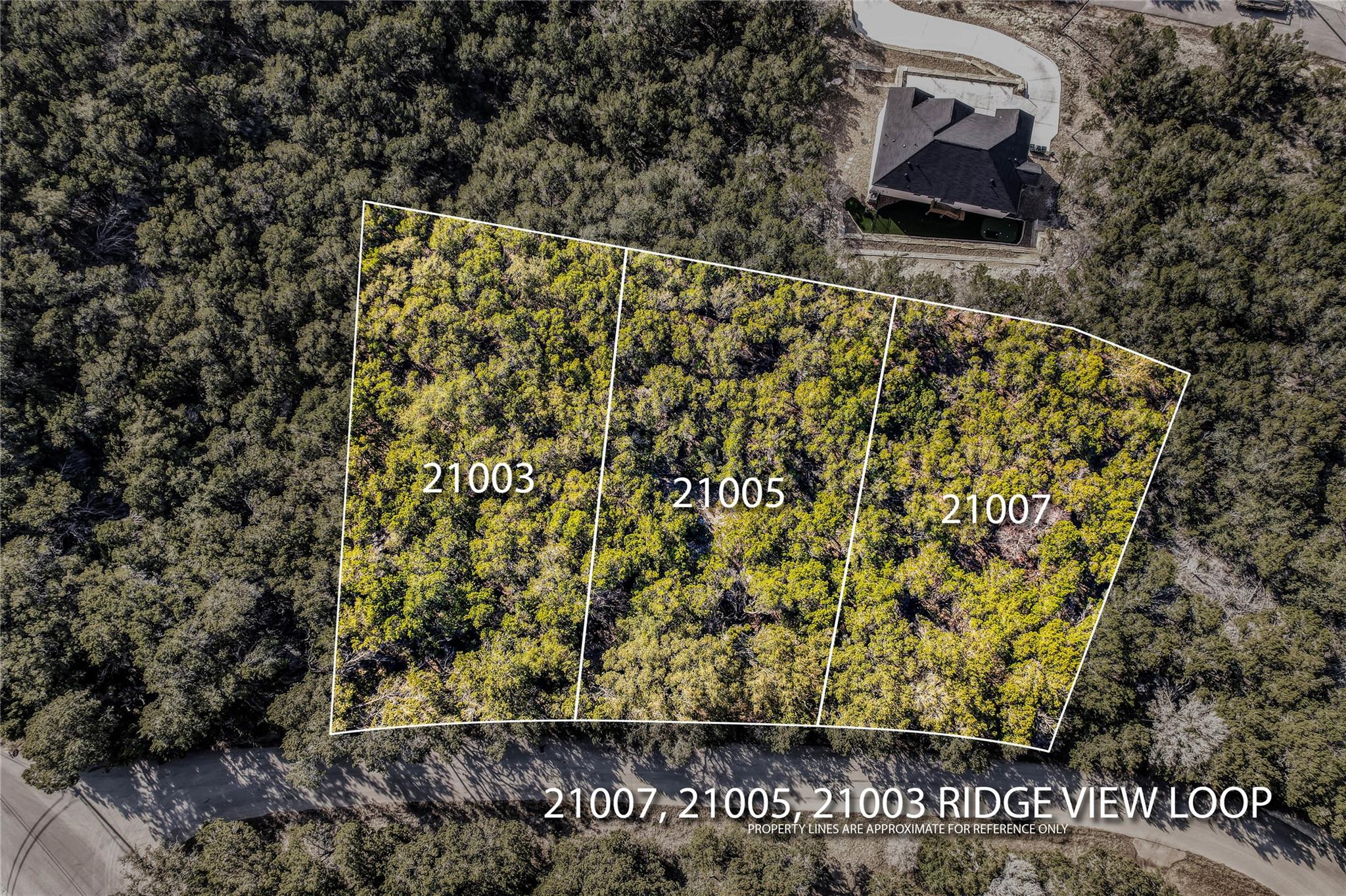 21005 Ridgeview Loop, Lago Vista, TX 78645 — photo 1