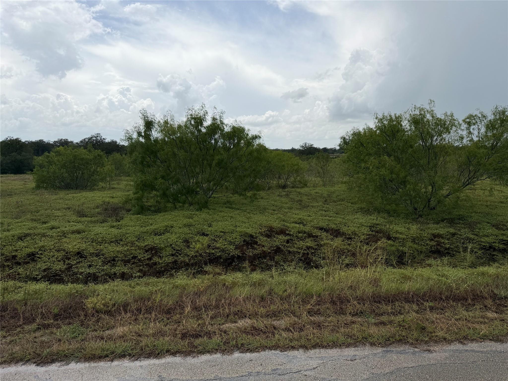 Lot 6A Spanish Oak Blvd, Lockhart, TX 78644 — photo 1