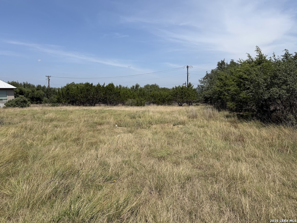 105 S Jerry Gray, Blanco, TX 78606 — photo 1