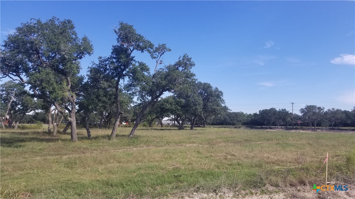 000 Enchanted Oaks, Inez, TX 77968 — photo 1