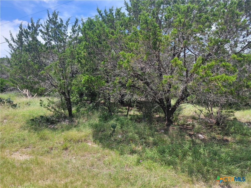 16011 Brazos Drive, Temple, TX 76502 — photo 1
