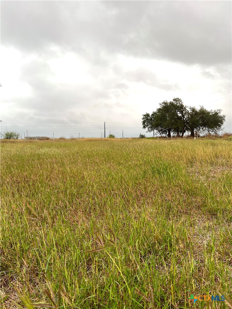 680 Squirrel Creek Road, D'Hanis, TX 78850 — photo 1