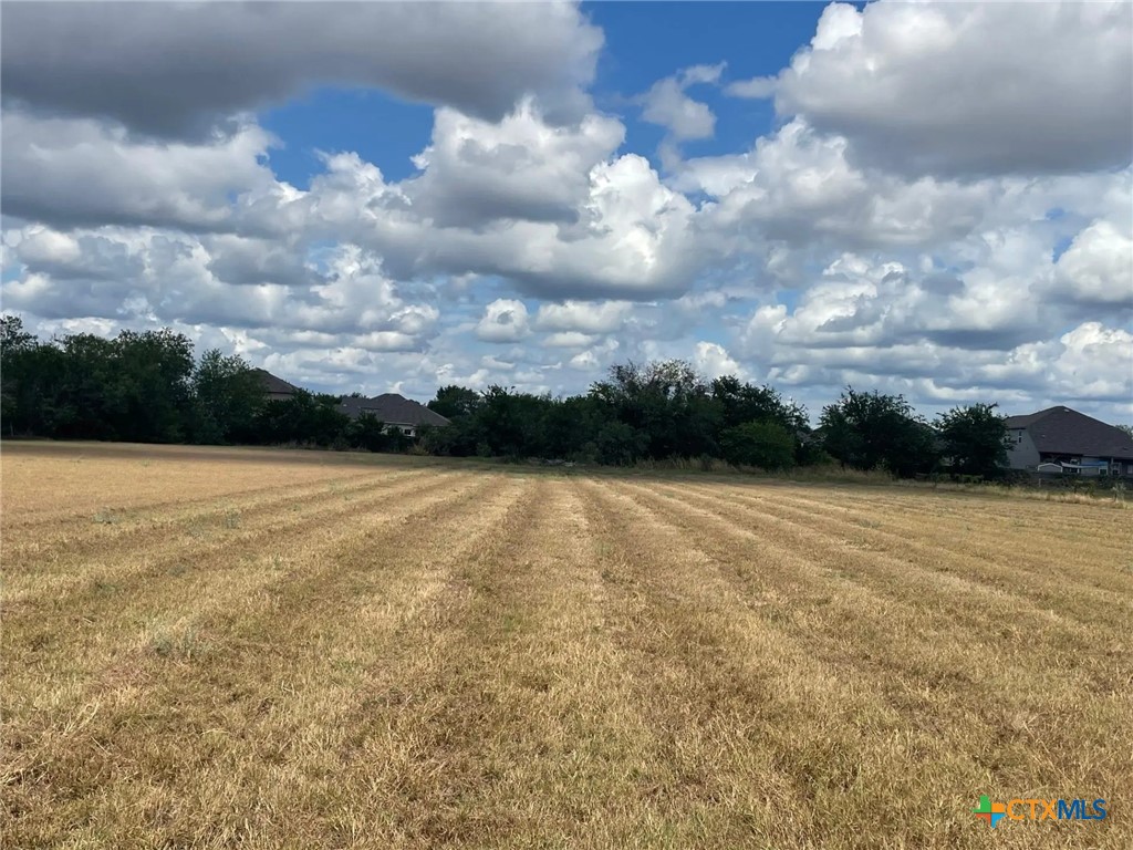 755 Saengerhalle, New Braunfels, TX 78130 — photo 1