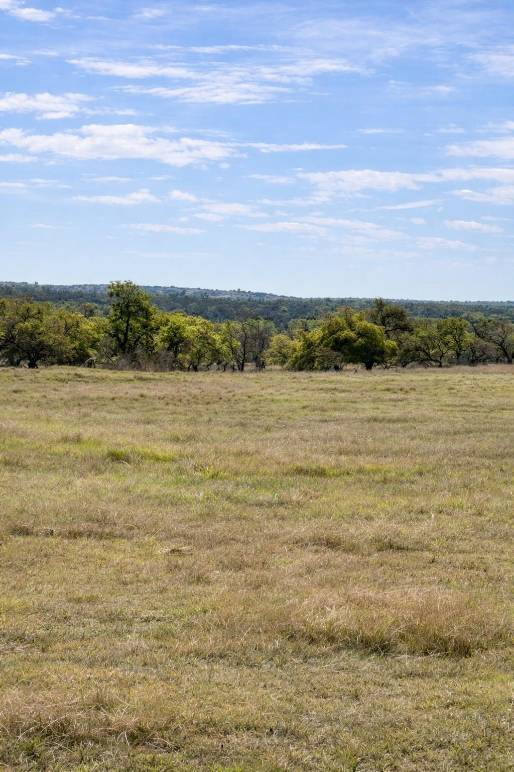 Lot 42 Reeh, Fredericksburg, TX 78631 — photo 1