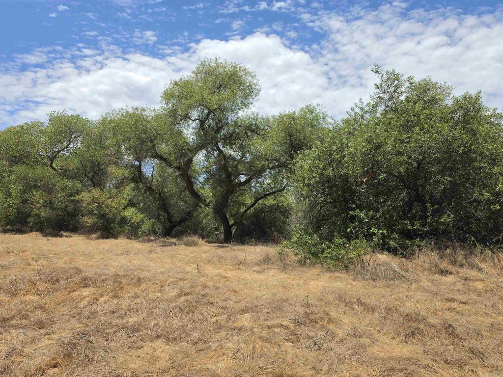 1.41 acres Durgin Street, Ramona, CA 92065 — photo 1