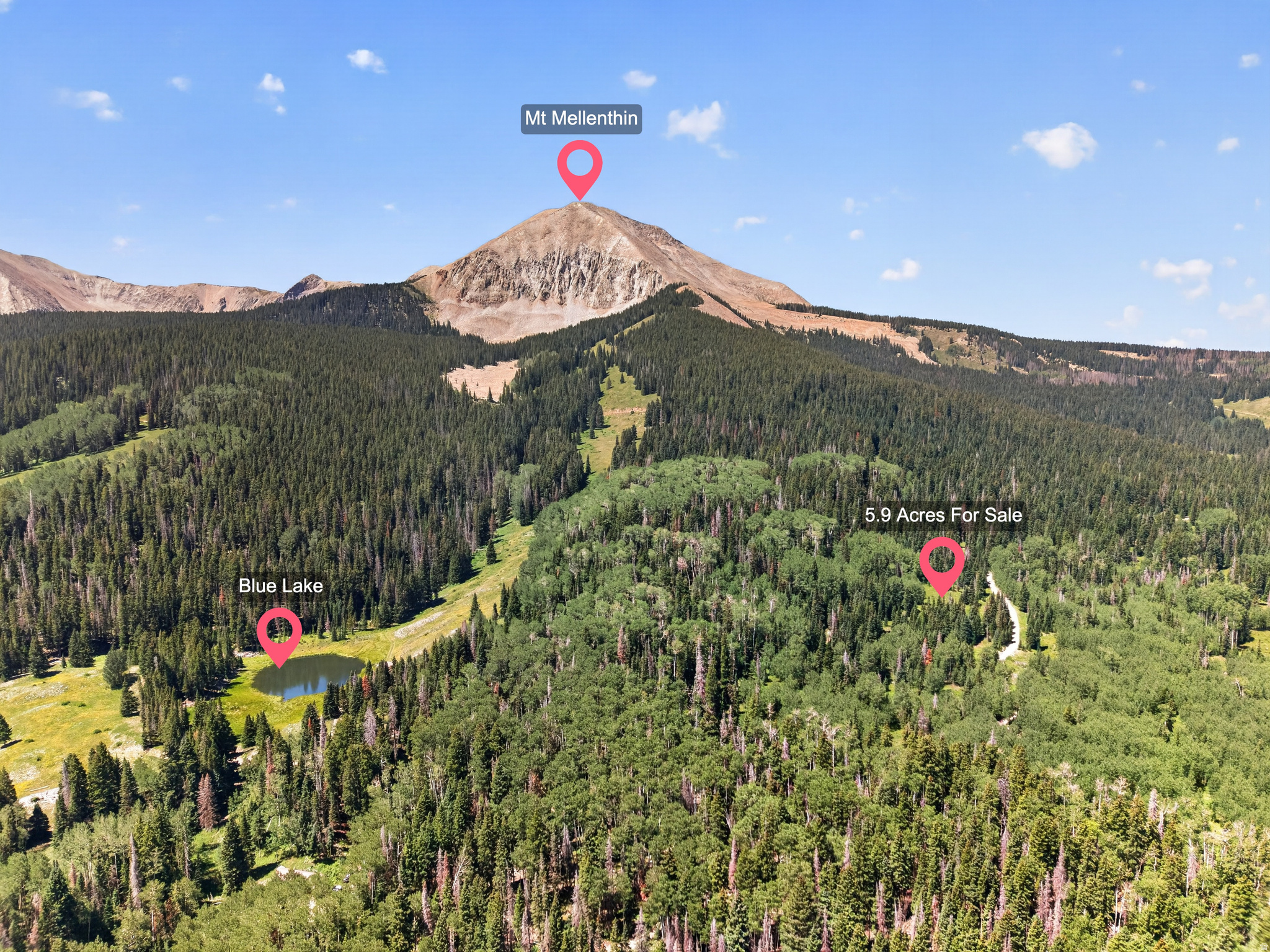 100 S FOREST ROAD 0242