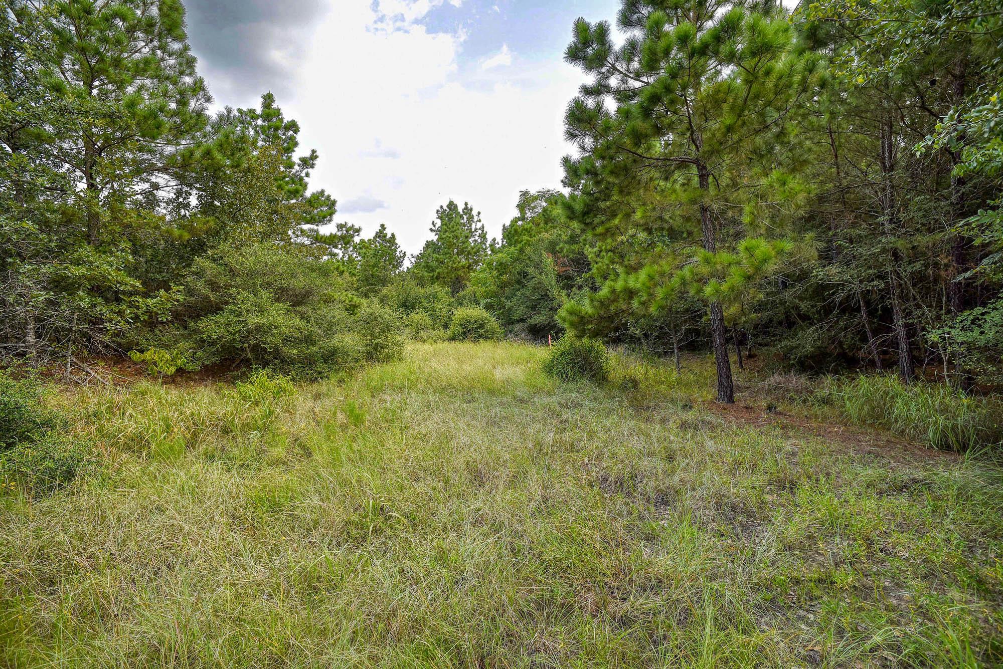 TBD Kipahulu, Bastrop, TX 78602 — photo 1