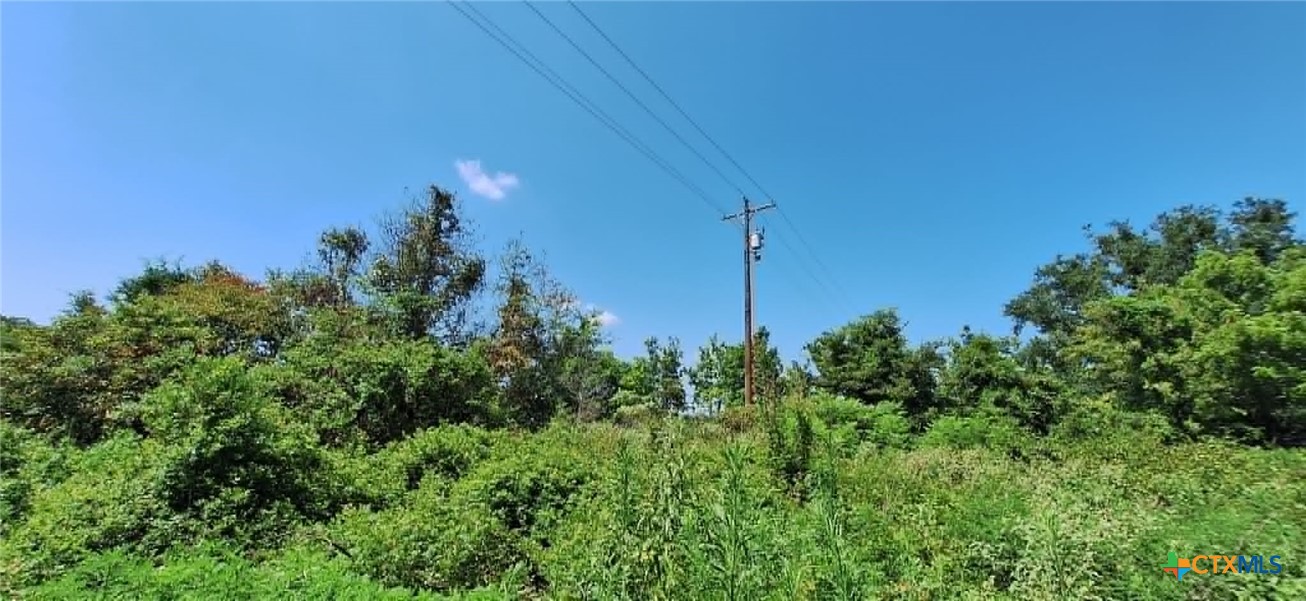 TBD Red Maple, Big Sandy, TX 75755 — photo 1