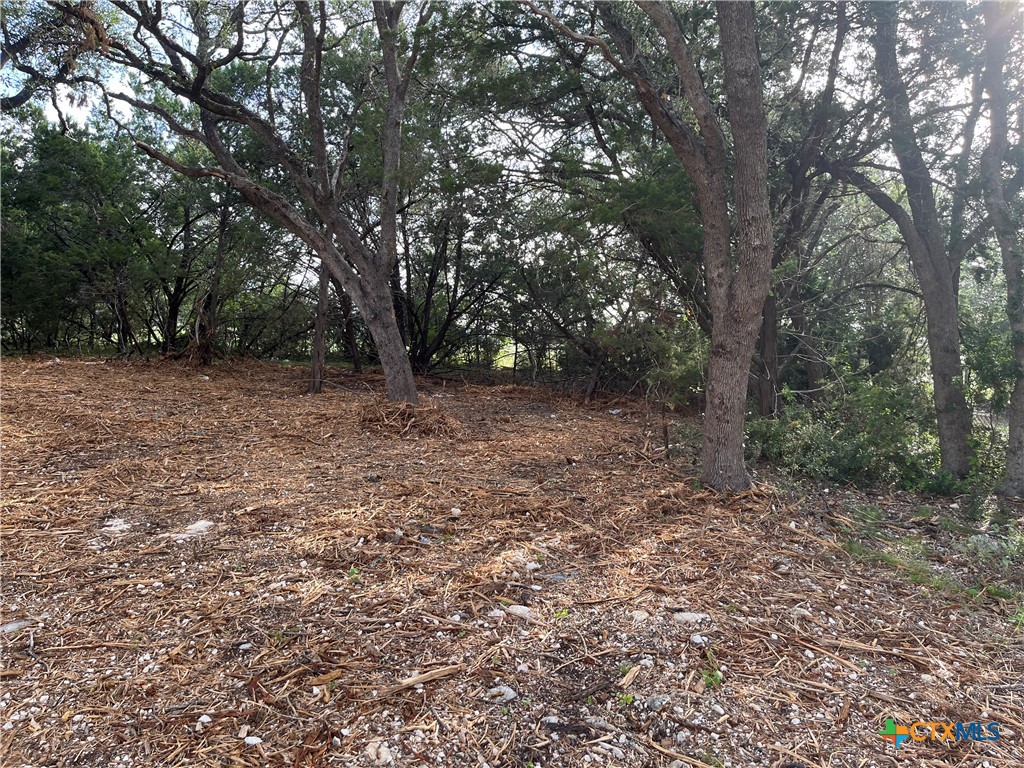 1371 Four Winds, Canyon Lake, TX 78133 — photo 1