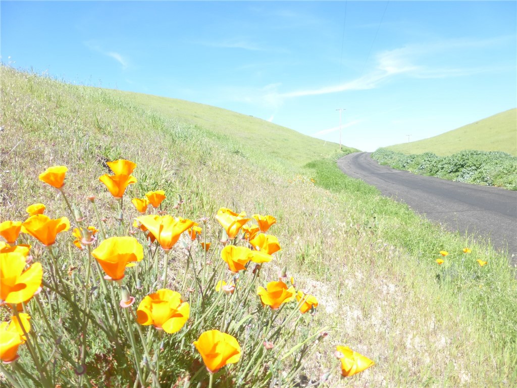 0 Douglas Rd. (Lot 28), San Miguel, CA 93451 — photo 1
