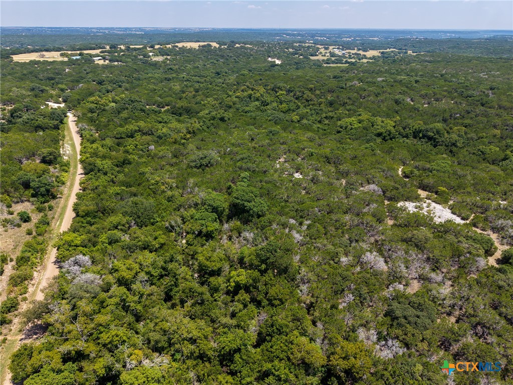 TBD Greenbriar, Gatesville, TX 76528 — photo 1