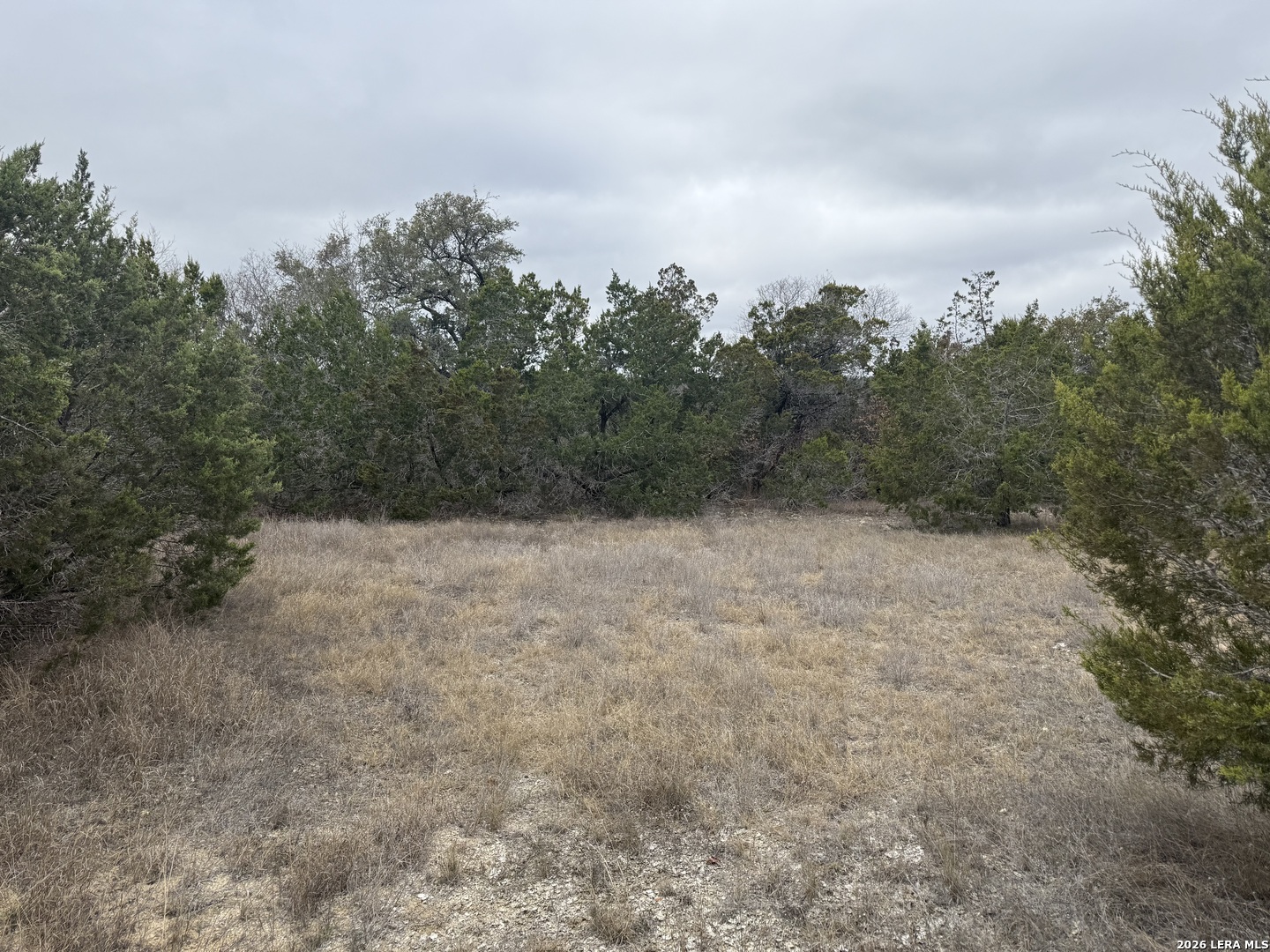 LOT 71 S Cliff, ,  78070 — photo 1