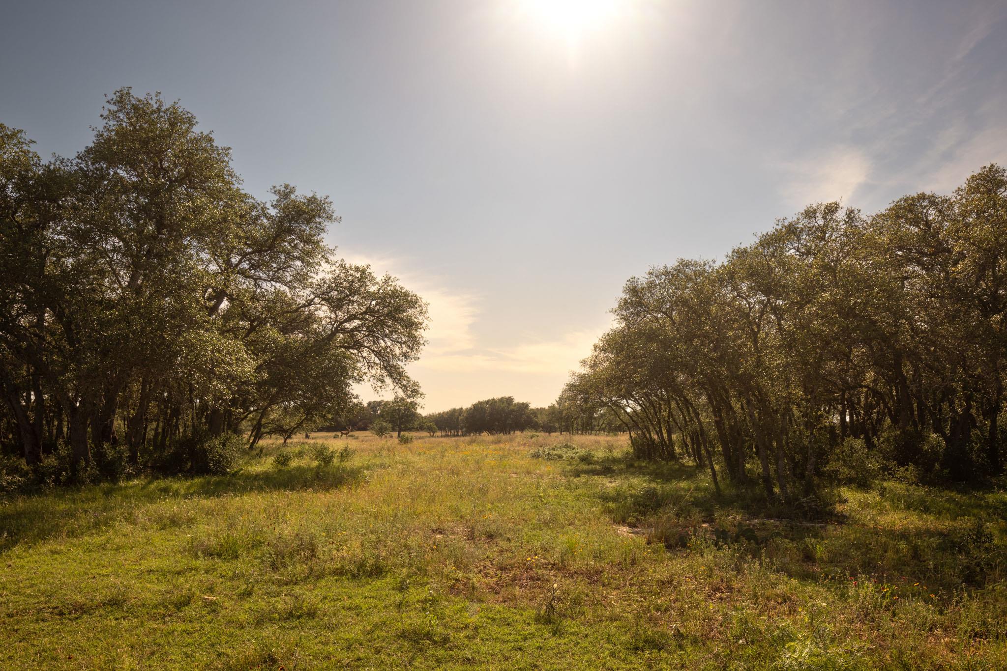 1701 Gipson Rd, Johnson City, TX 78636 — photo 1