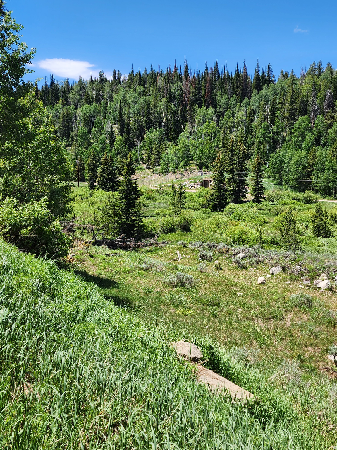 5041 COUGAR LN, Kamas, UT 84036 — photo 1