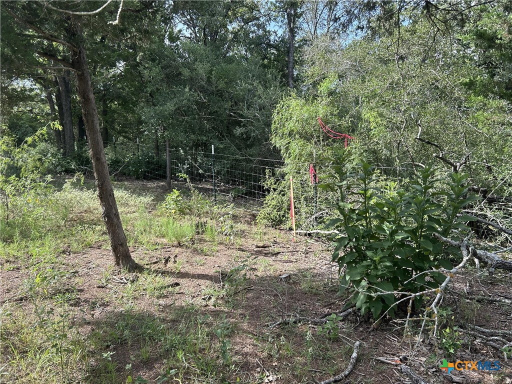 240 Private Road 4601, Waelder, TX 78959 — photo 1
