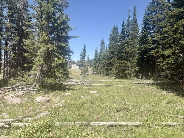 107 S Quill RD, Lot 19, Brian Head, UT 84719 — photo 1