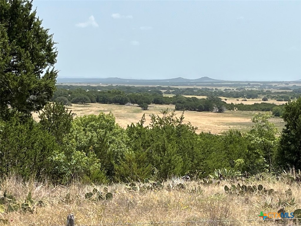 1580 County Road 2113 Road, Lometa, TX 76853 — photo 1
