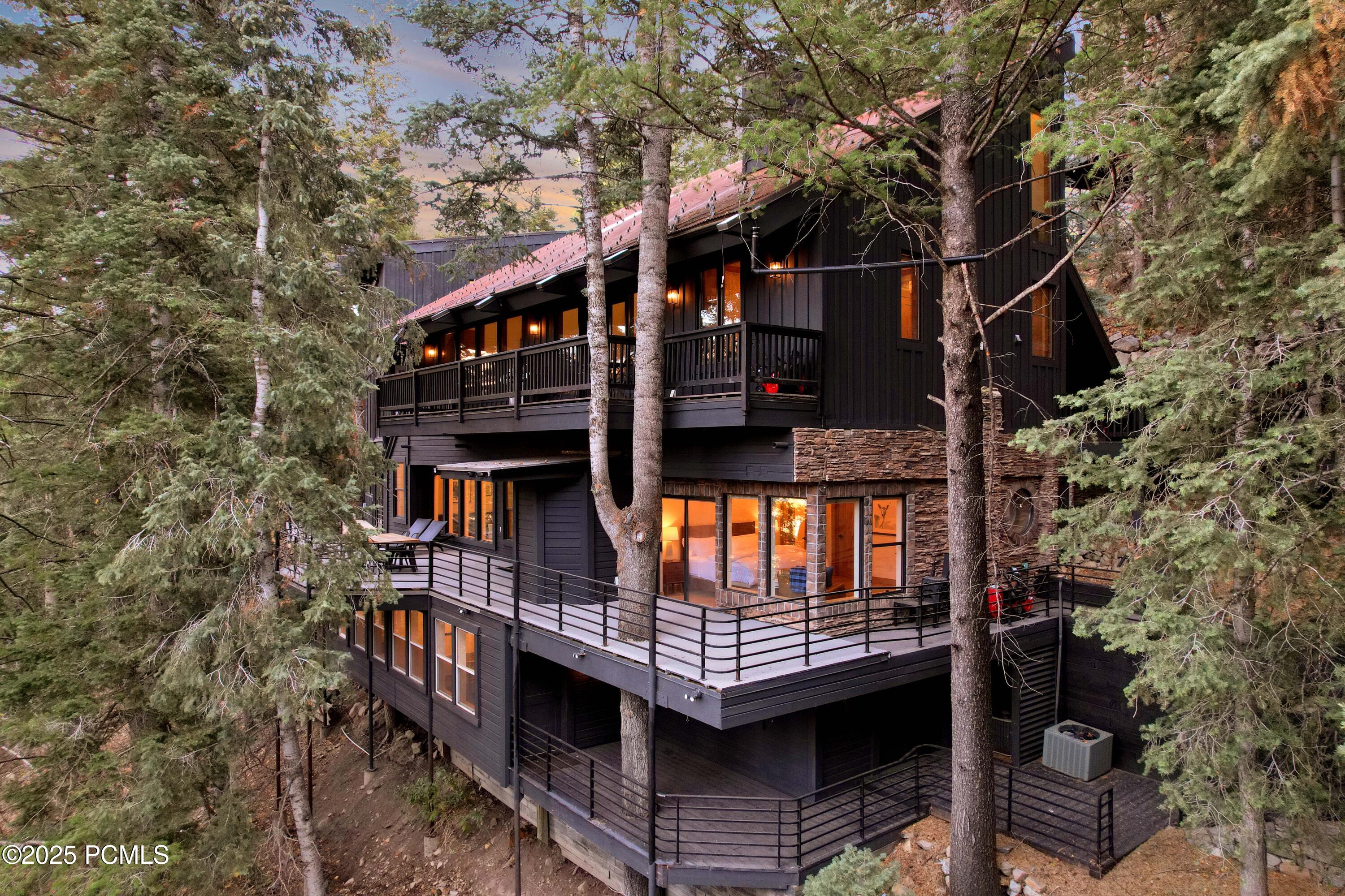 3009 Black Forest