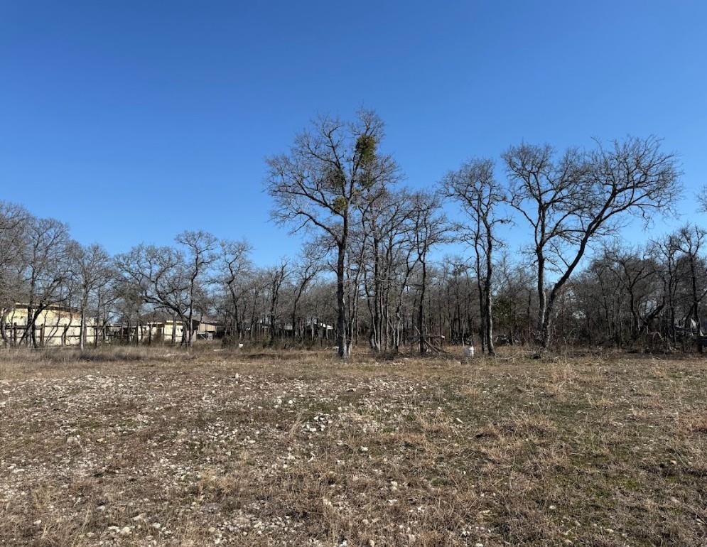 121 Pink Dahlia Dr, Dale, TX 78616 — photo 1