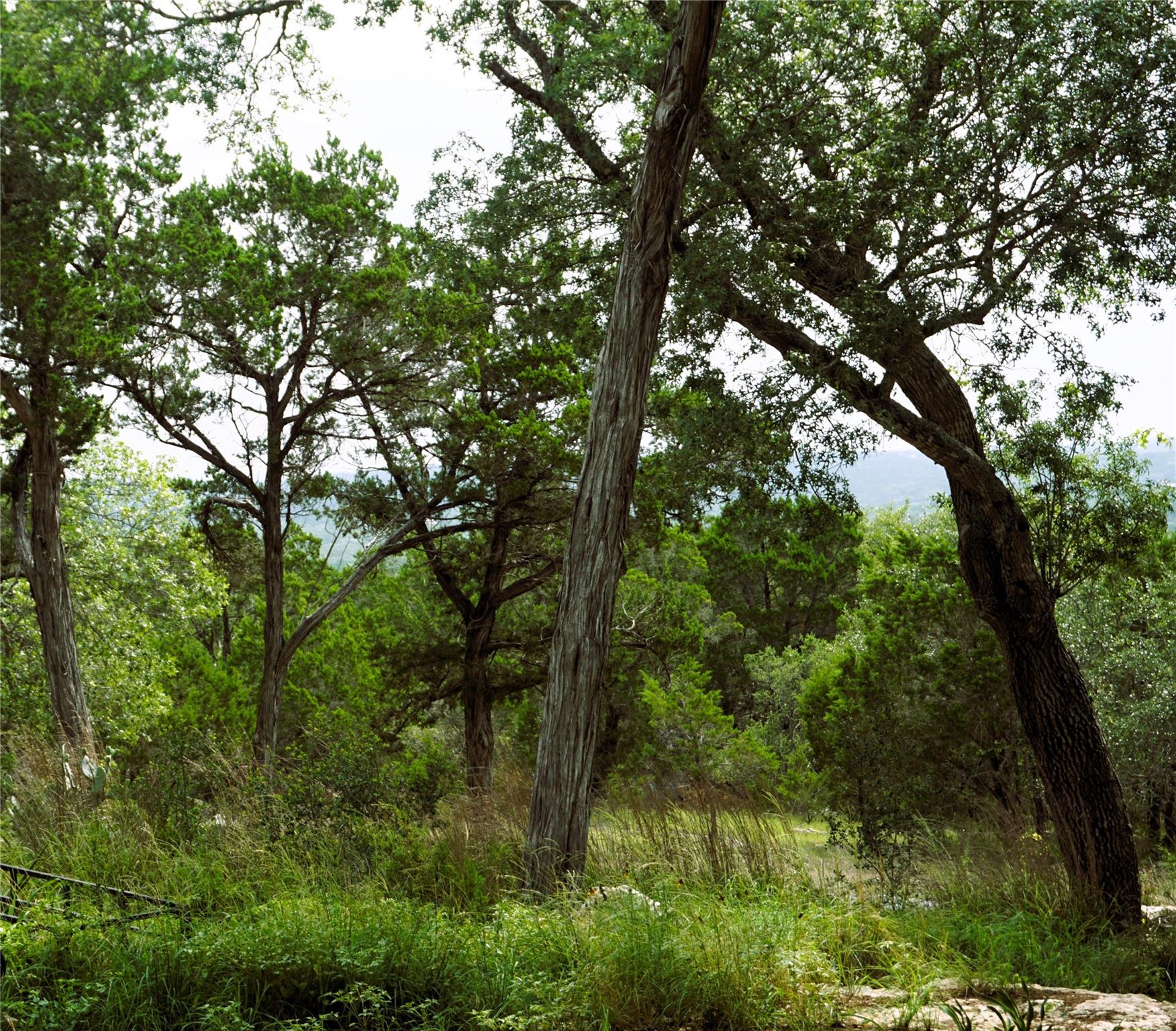 850 Days End, Wimberley, TX 78676 — photo 1