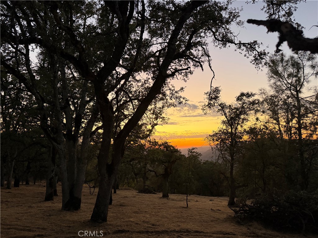 6005 Sherlock, Midpines, CA 95345 — photo 1