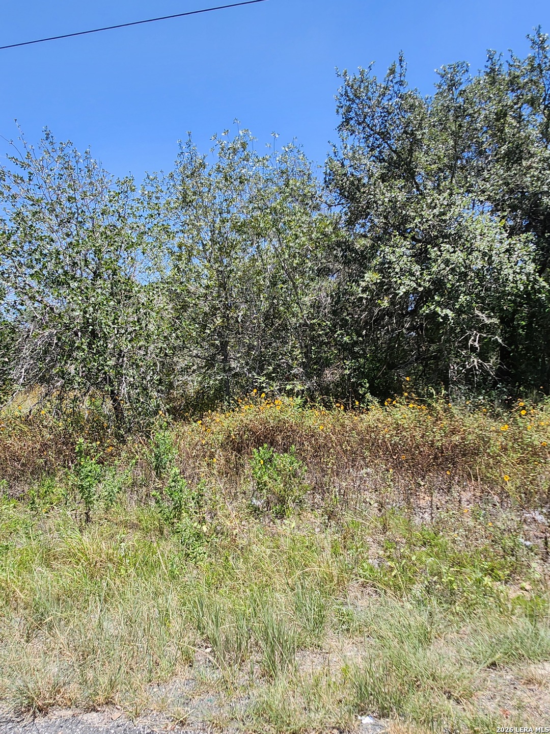 24114 Tumbleweed LN, ,  78264 — photo 1