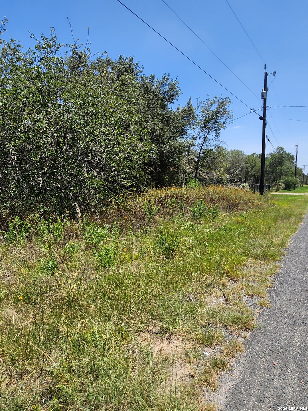 24114 Tumbleweed LN, San Antonio, TX 78264 — photo 1