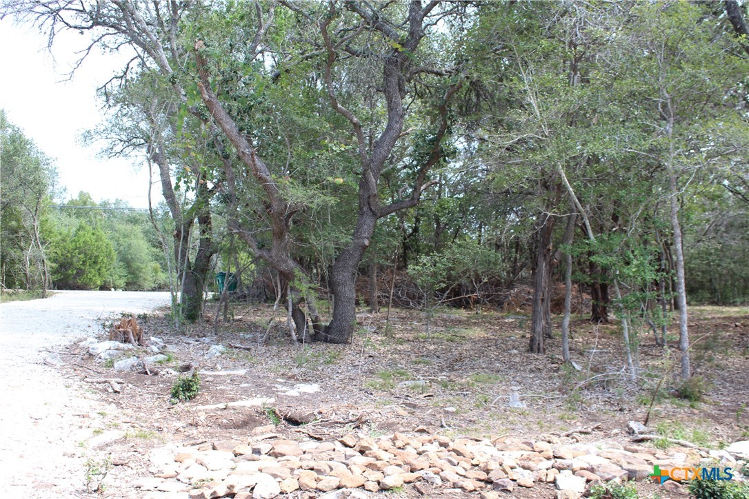 151 Eden Ranch Drive, Canyon Lake, TX 78133 — photo 1