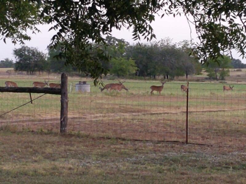 10905 S. FM 1915  FM 1915 Hwy