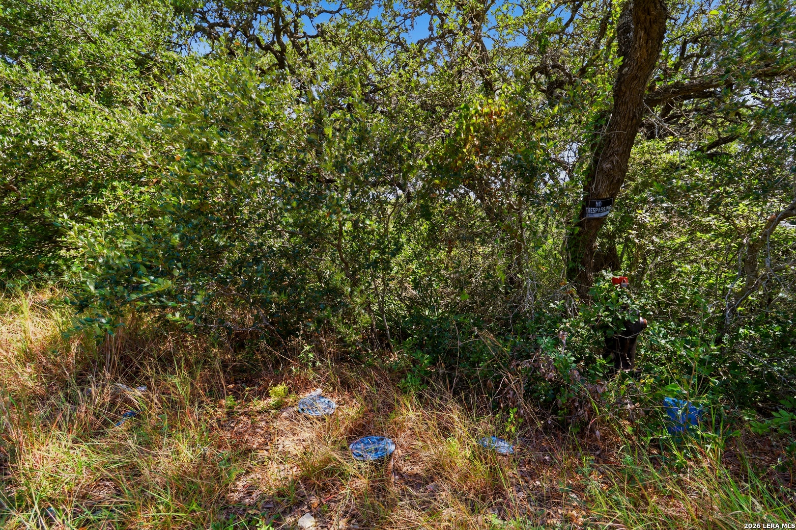 20130 County RD 174, ,  78023 — photo 1