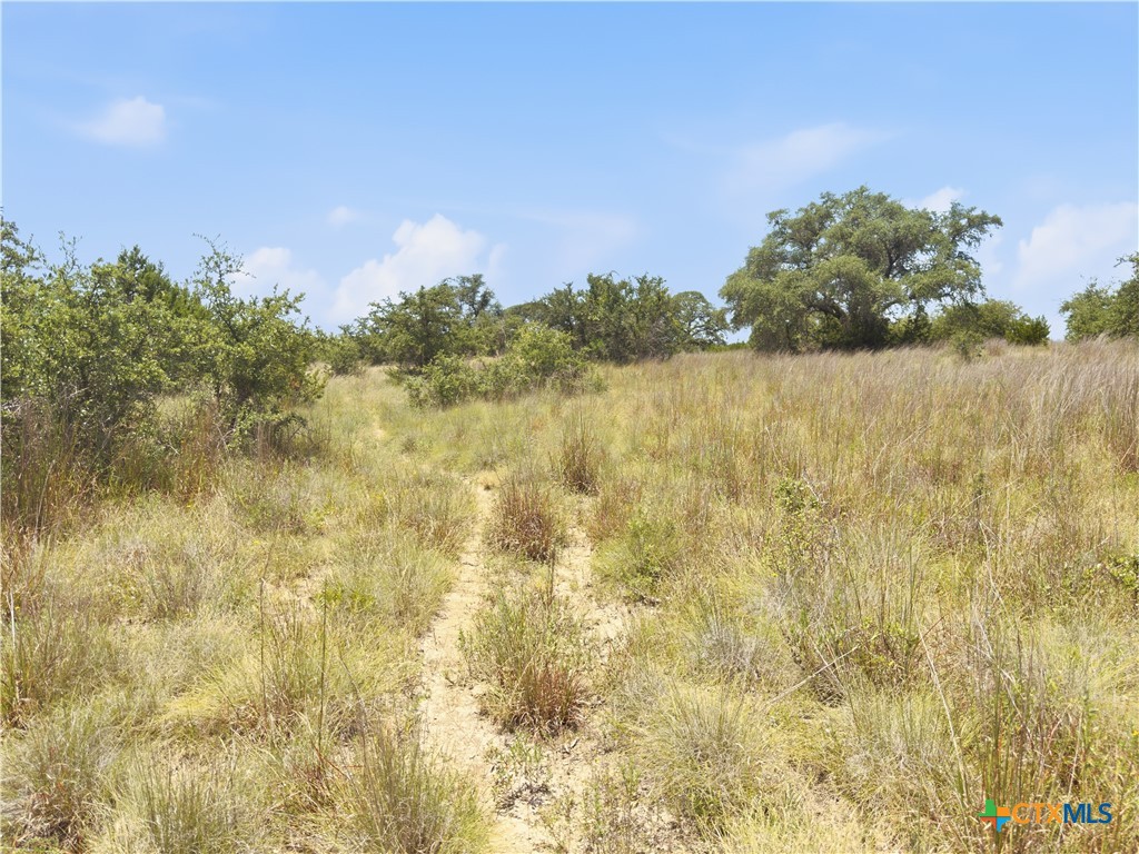 963 Summit Ridge, Johnson City, TX 78636 — photo 1