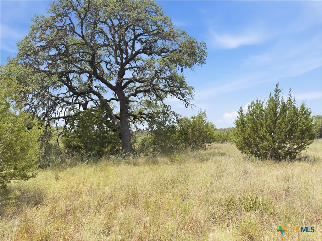 963 Summit Ridge Trail, Johnson City, TX 78636 — photo 1