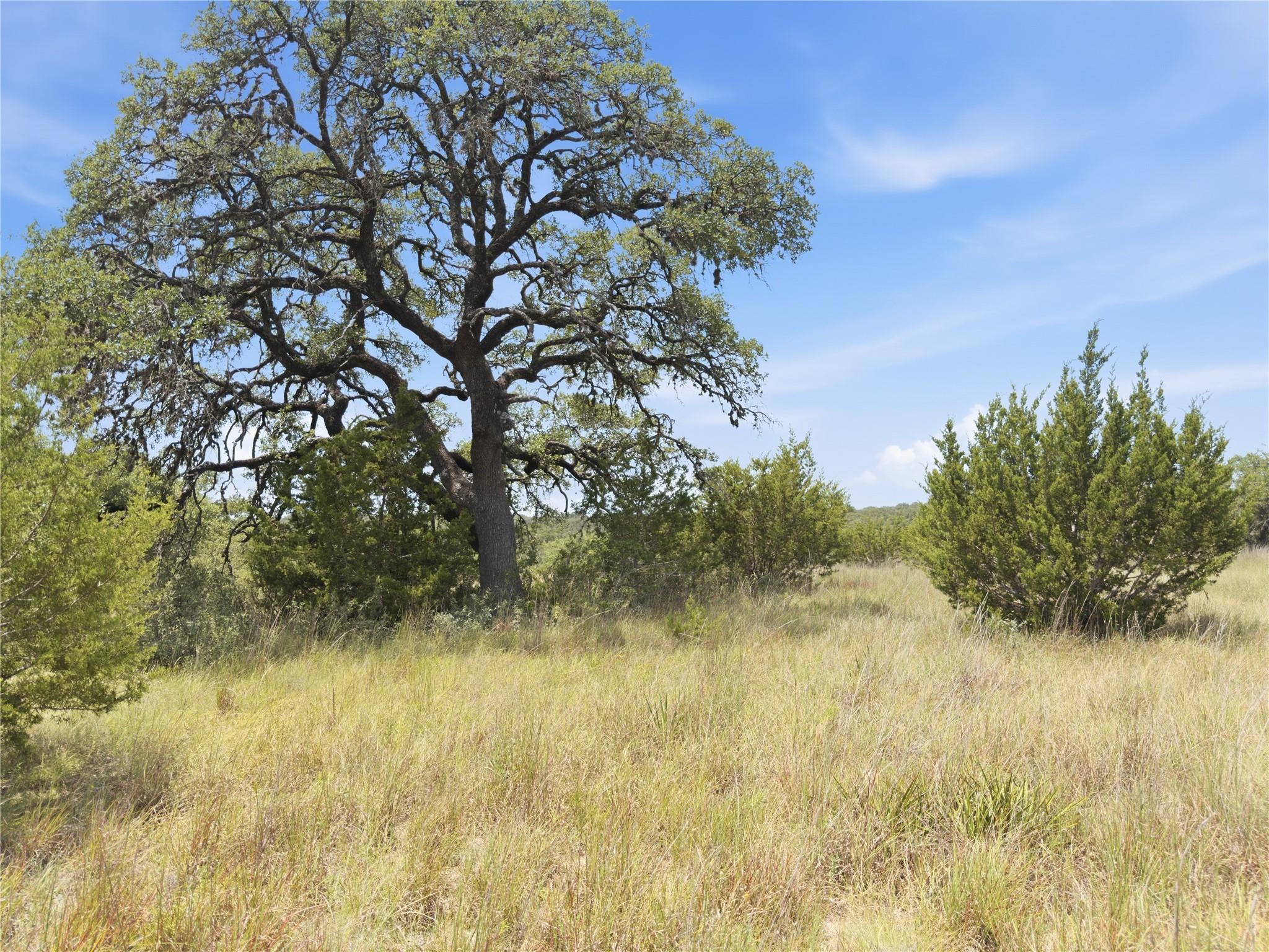 963 Summit Ridge Trail, Johnson City, TX 78636 — photo 1